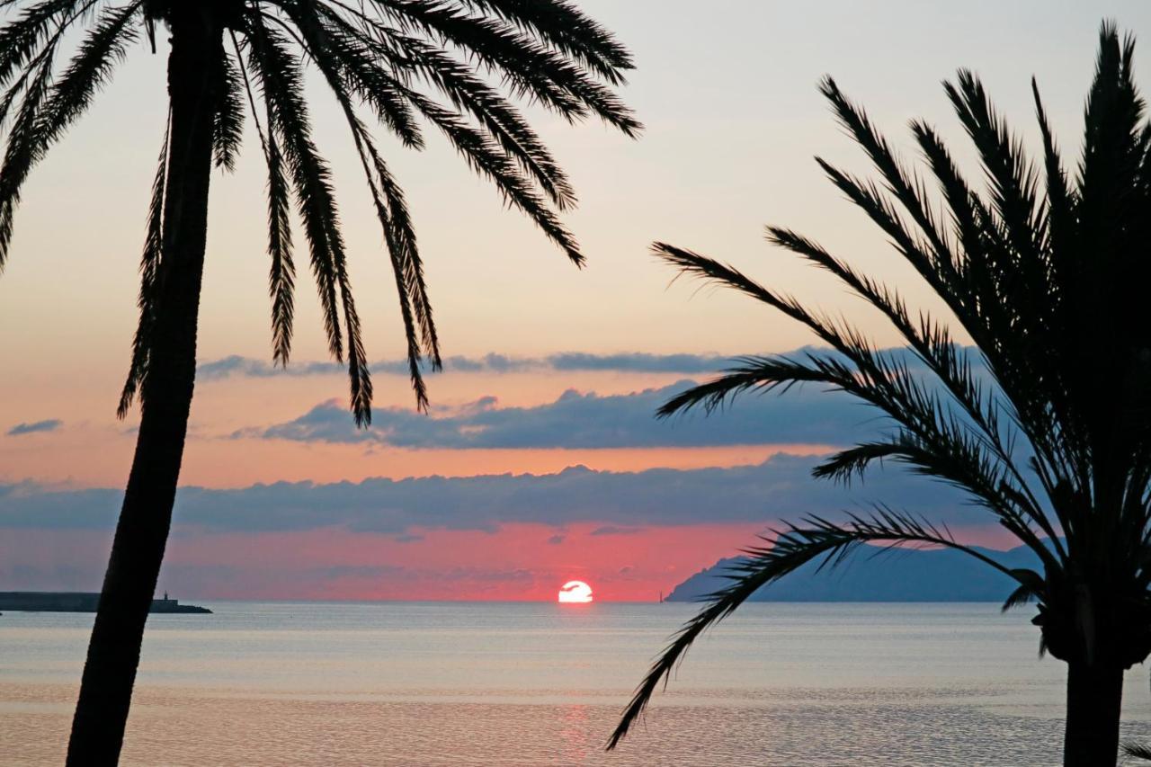 One-Bedroom Apartment Garden View Bonavida Palms