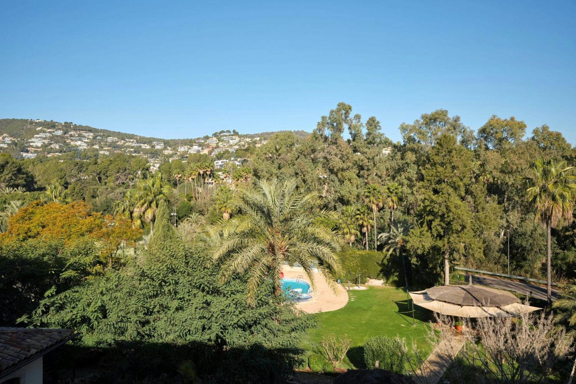 Superior King Room Resort View