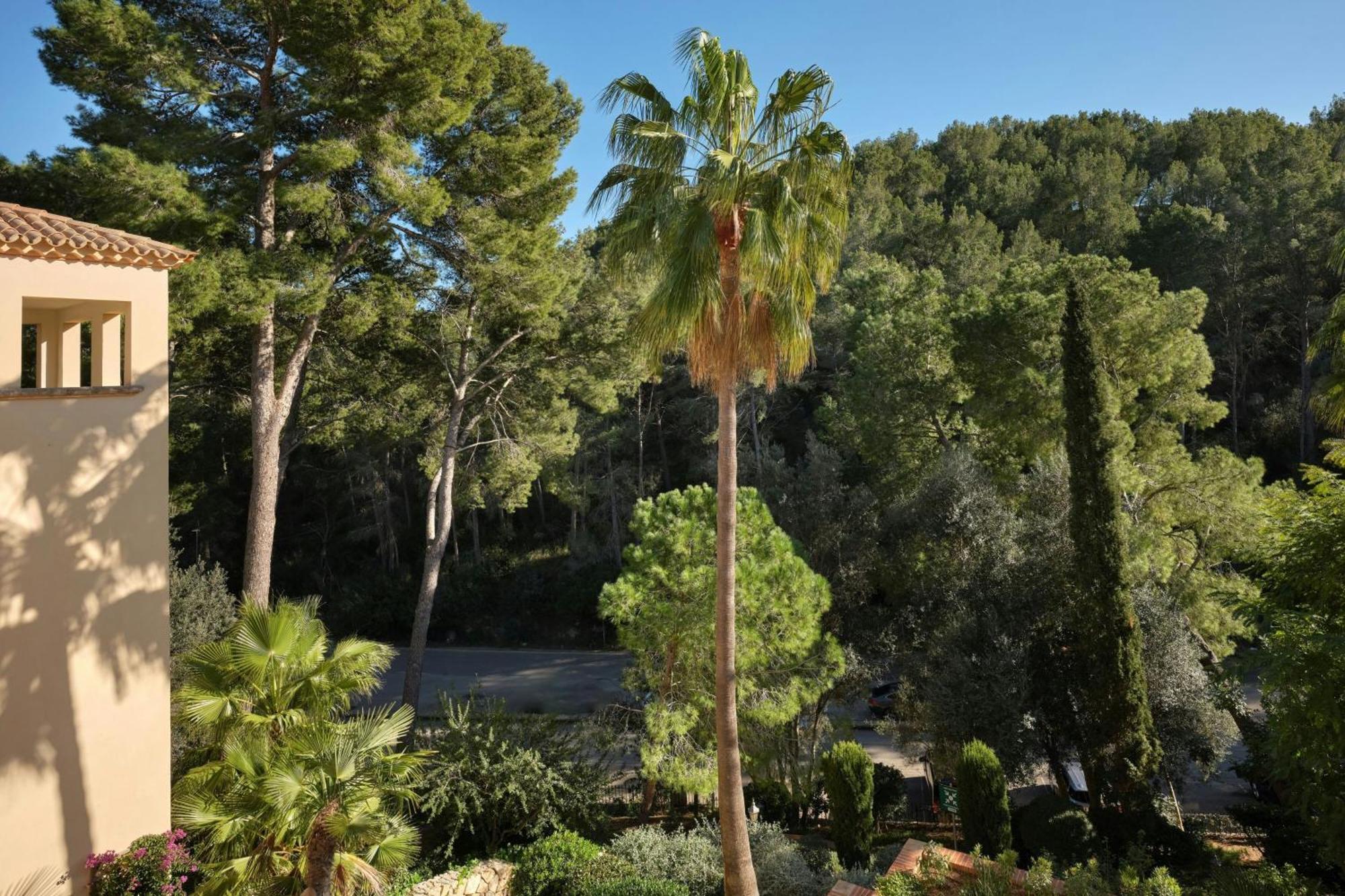 Superior King Room Resort View