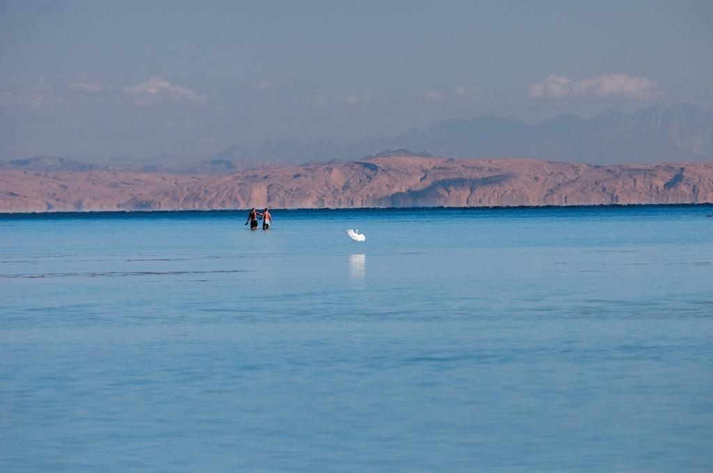 Superior Double or Twin Room with Sea View,1440227431:JPEG