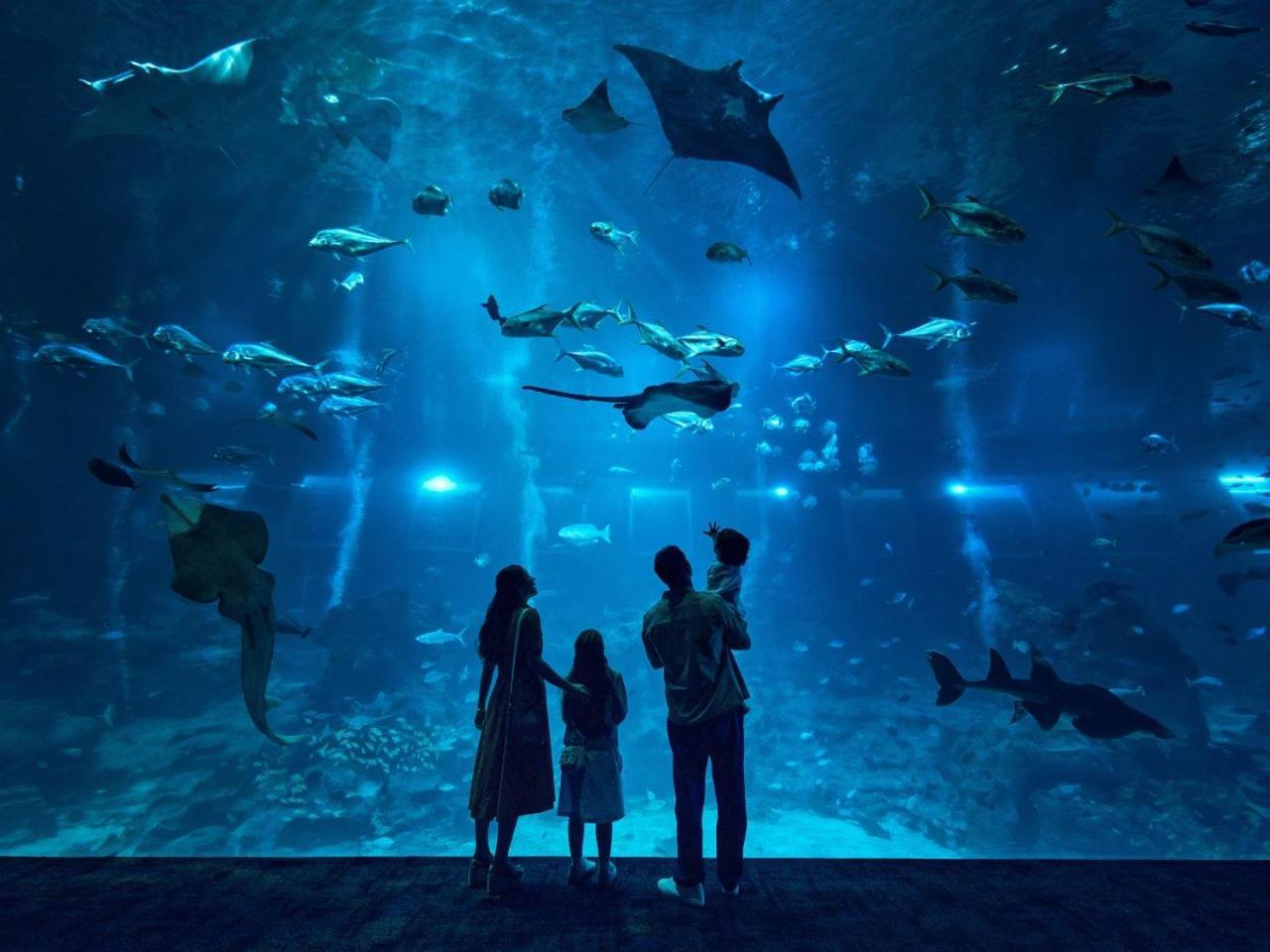3D2N & Play Deluxe Room complimentary One Tickets to Adventure Cove Waterpark & Singapore Oceanarium