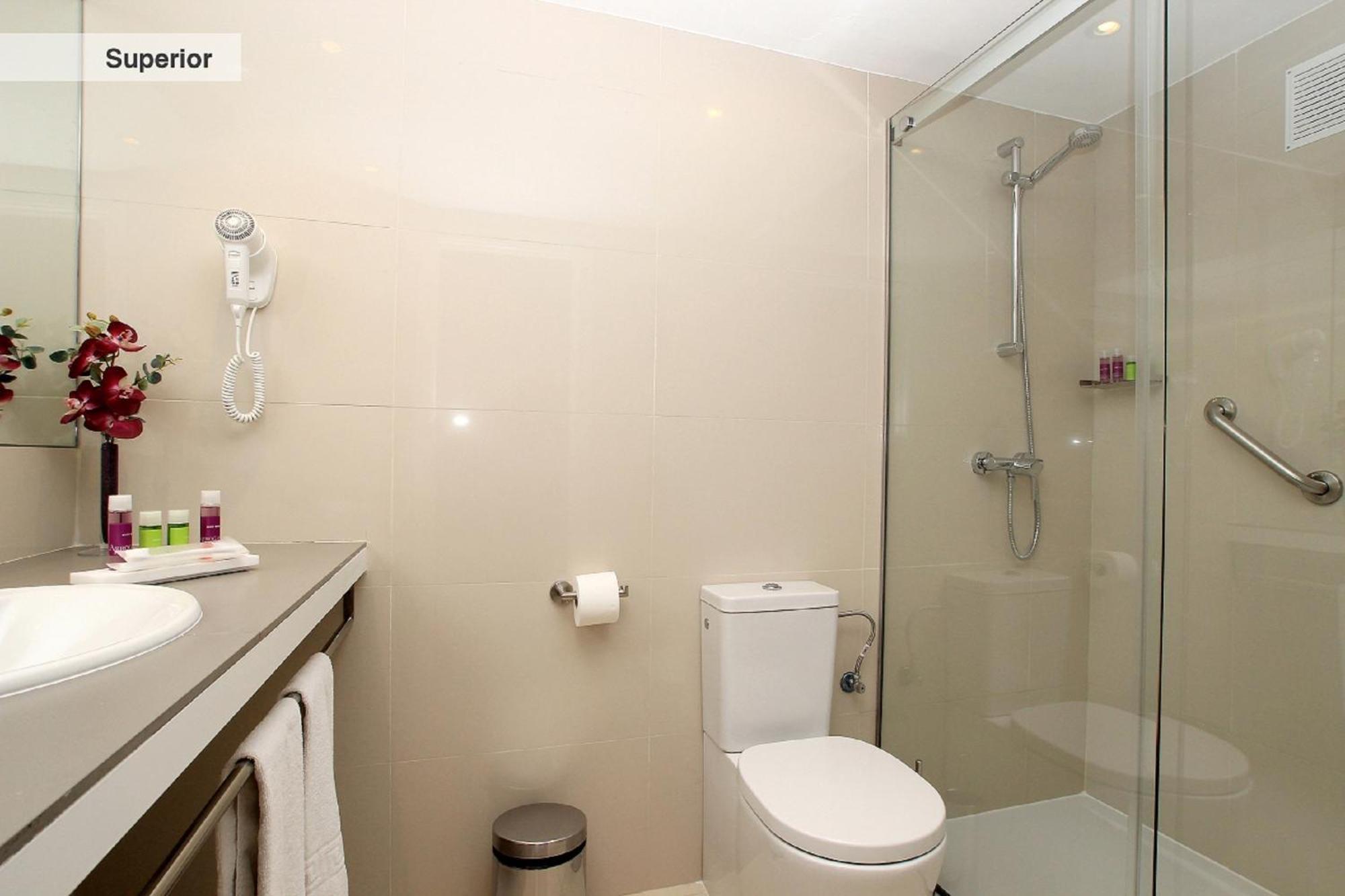 Studio Supérieur (3 Adultes)