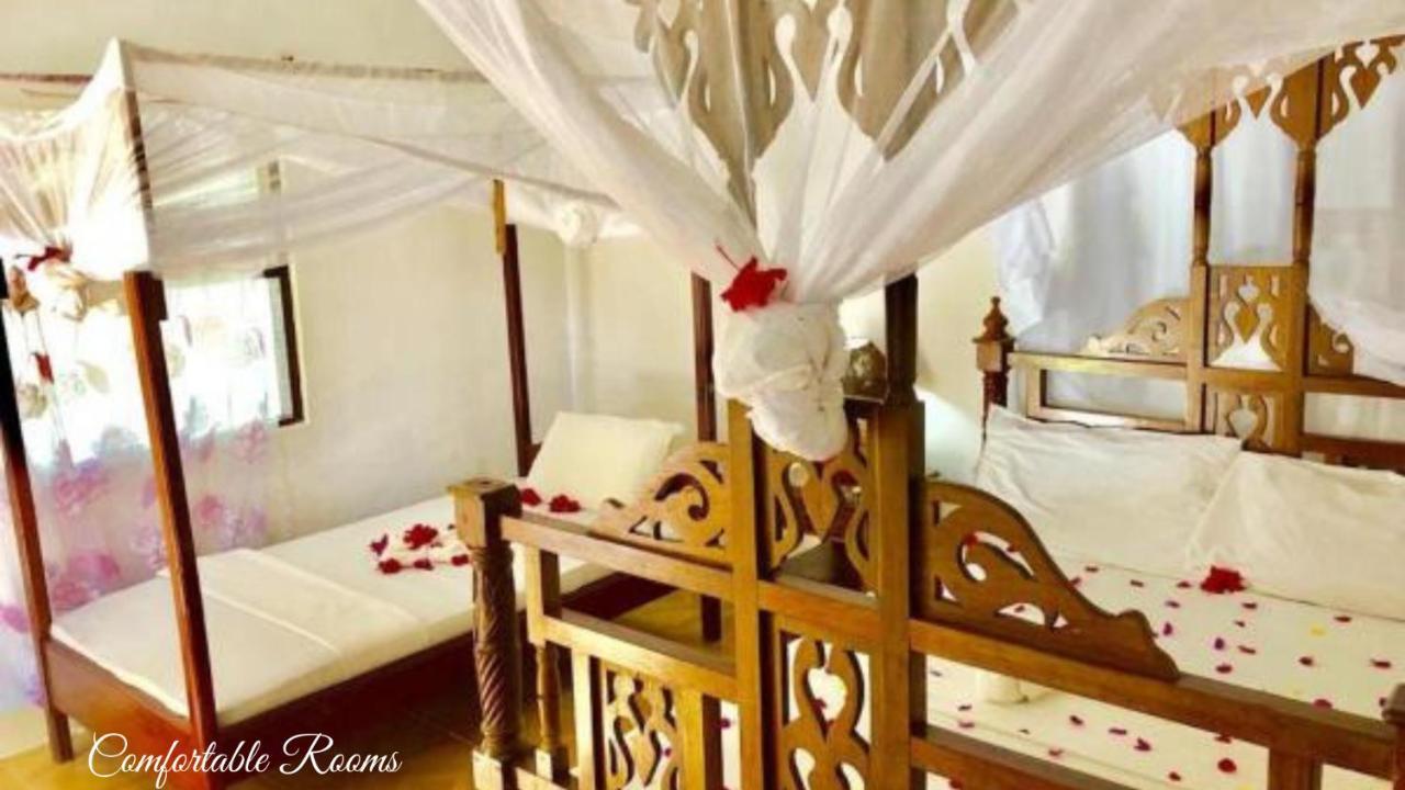 Triple Room,766920670:JPEG