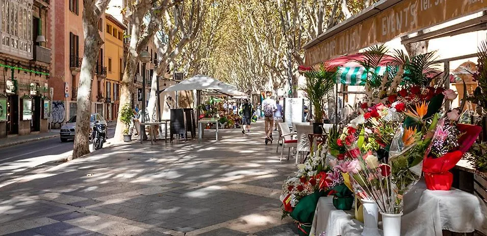Rambla Palma Center-1