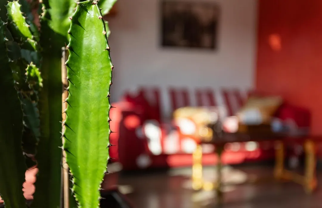 Chambre d'Amis - Chambres d'Hôtes-B&B-Guest House-1