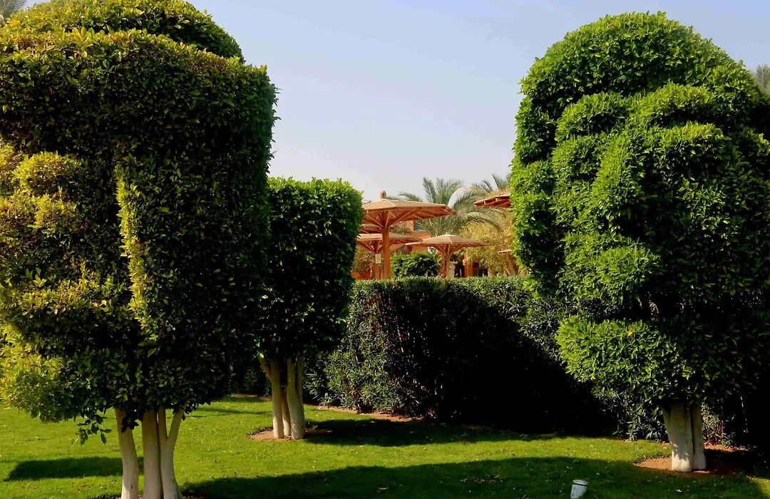 Golden Beach Resort-1