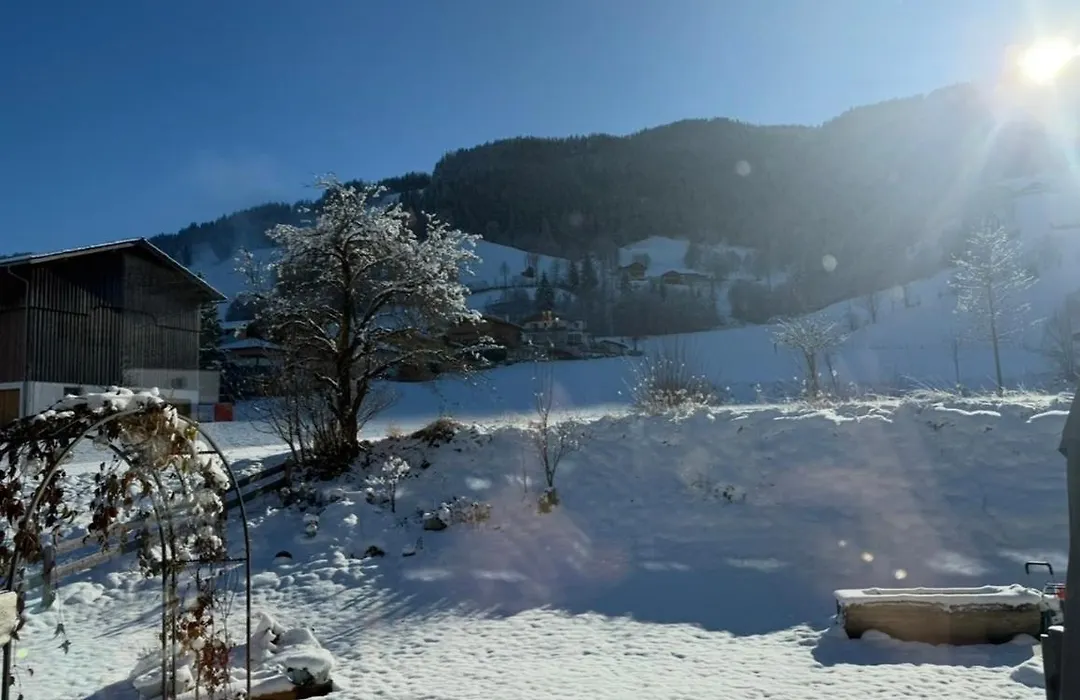 Pension Mitterwallner-1