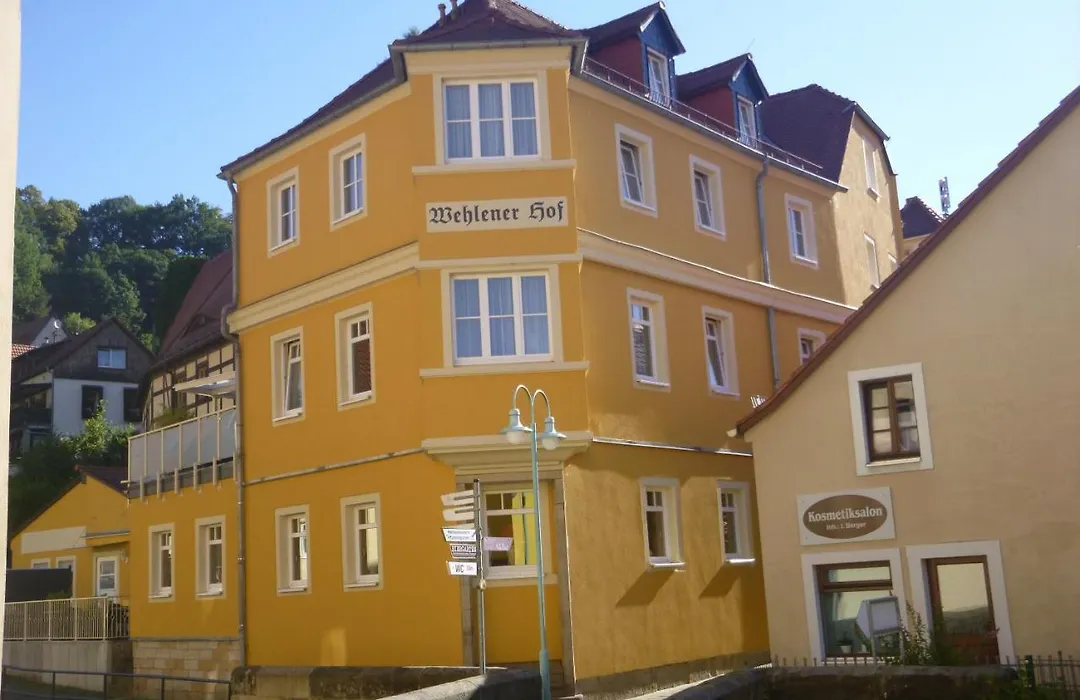 Hotel Wehlener Hof-1