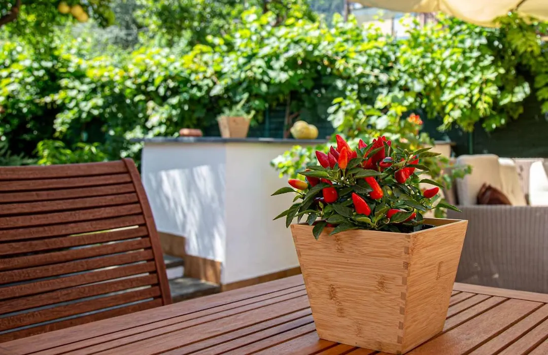 Xenia House Sorrento-1