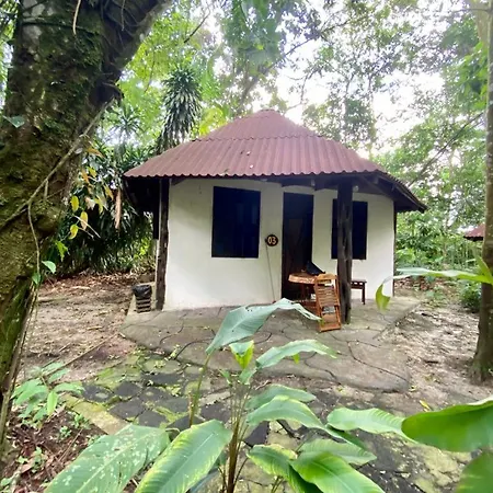 Reservamazon Forest Hotel-2