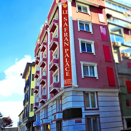 Le Safran Palace-3