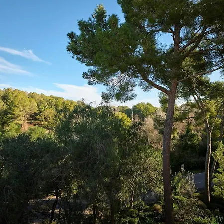 Sheraton Mallorca Arabella Golf Hotel-3