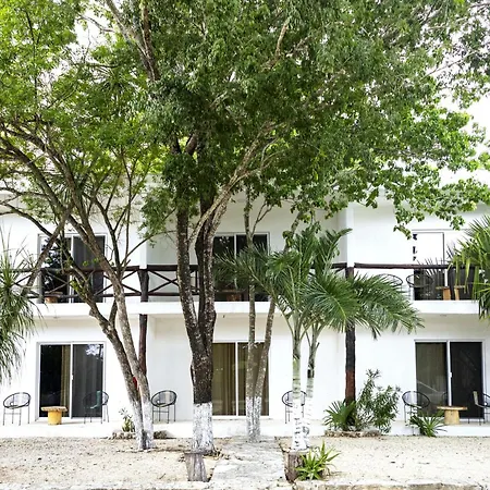 Hotel Casa Tortuga Tulum - Cenotes Park Inclusive-2