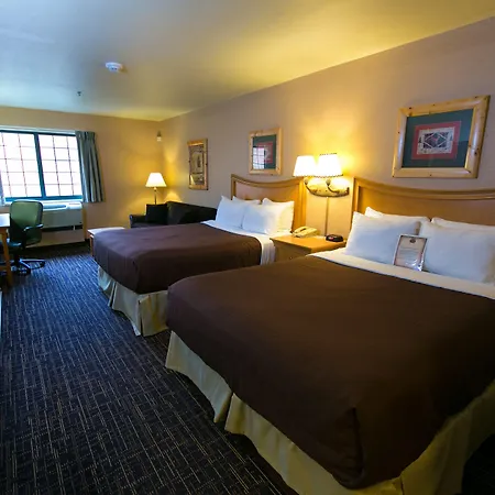 Tundra Lodge Resort - Waterpark & Conference Center-3