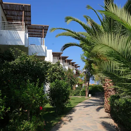 Apollonia Beach Resort & Spa-3