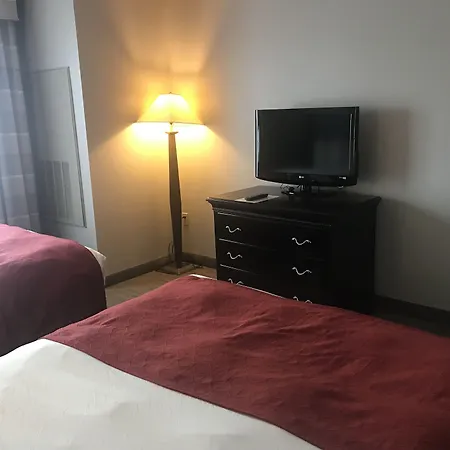 Country Inn & Suites By Radisson, Tampa Airport North, Fl-3