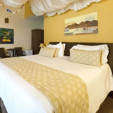Hotel Mil Flores-2