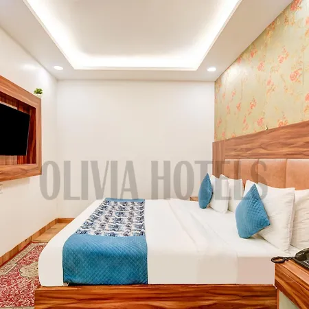 Olivia Hotels - Delhi Airport-2