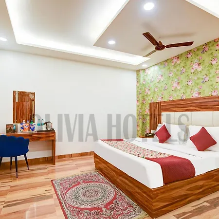 Olivia Hotels - Delhi Airport-3