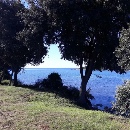 Grand Veles Camp-3
