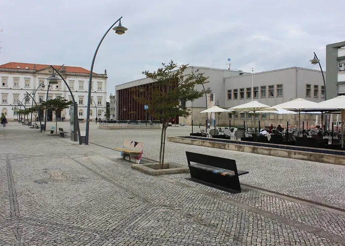 Ninho Citadino Aveiro