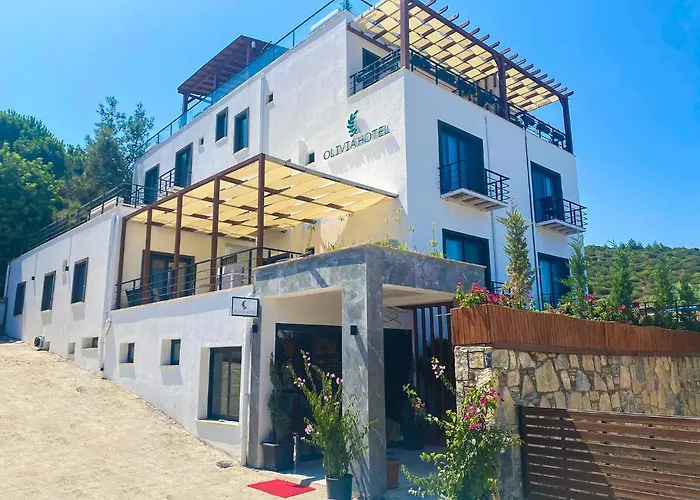 3 star hotel: Hotel Olivia