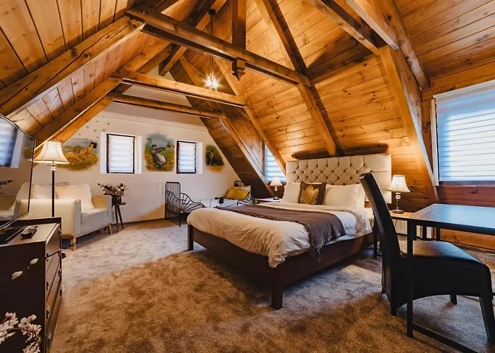 Albert Residence Brasov With Complimentary Parking Off Site