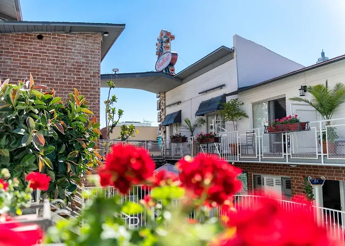 Hollywood Downtowner