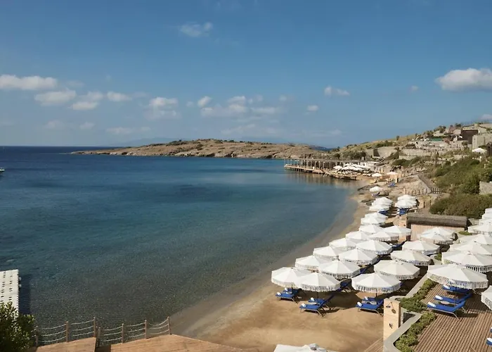 Pet Friendly hotel: Mett Hotel & Beach Resort Bodrum