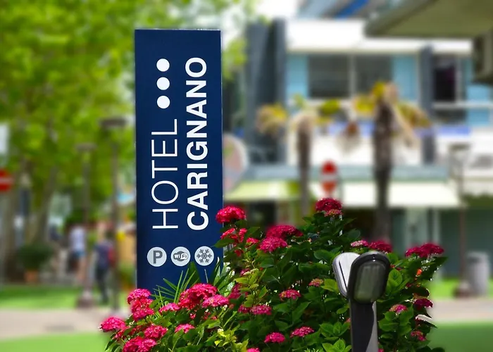 Hotel familiare: Hotel Carignano