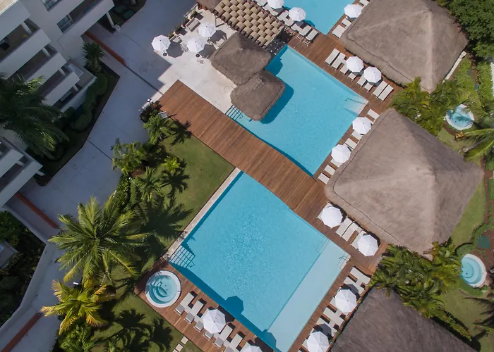 Privilege Aluxes Adults Only