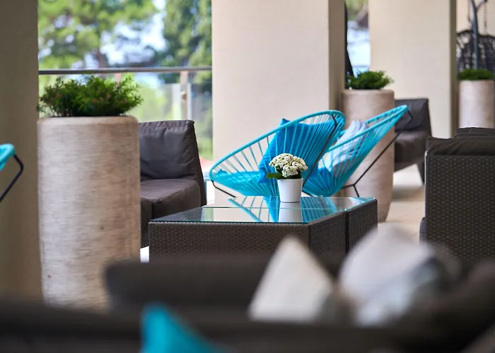 Ping Pong hotel: Hotel Parentium Plava Laguna