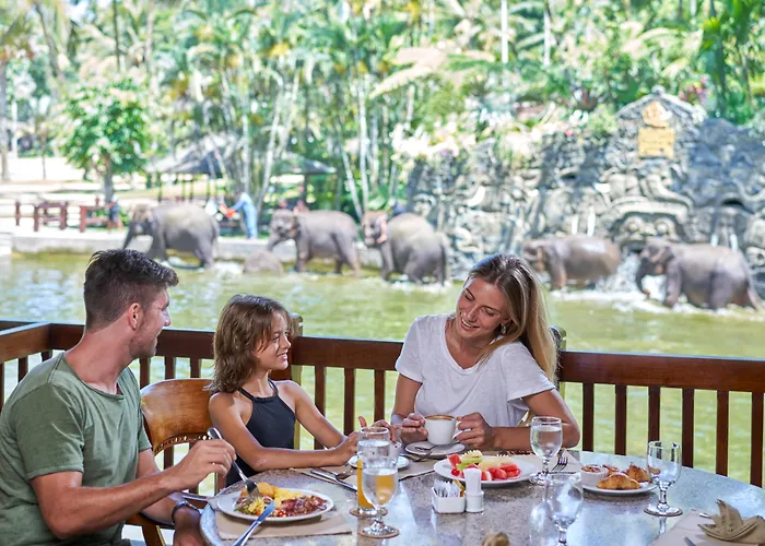 Mason Elephant Lodge