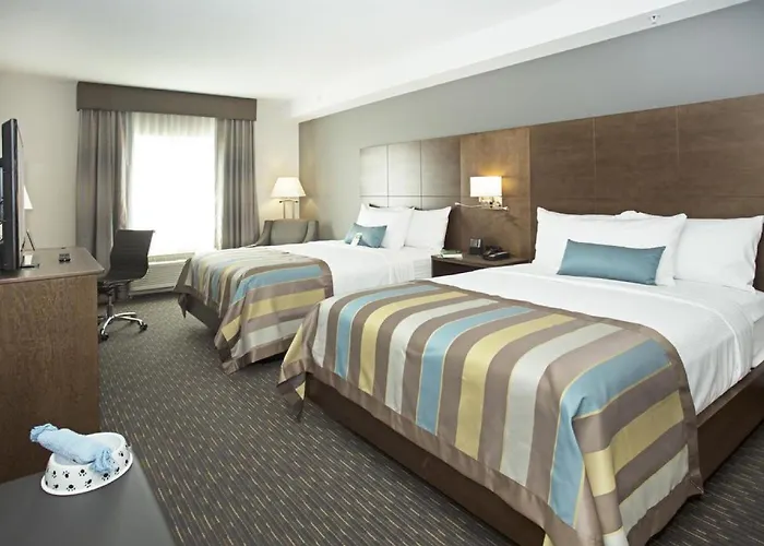Wingate By Wyndham Calgary Airport