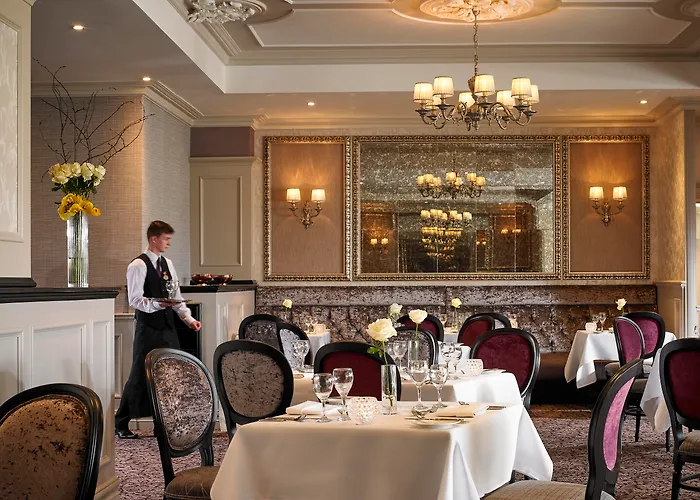 The Rose Hotel