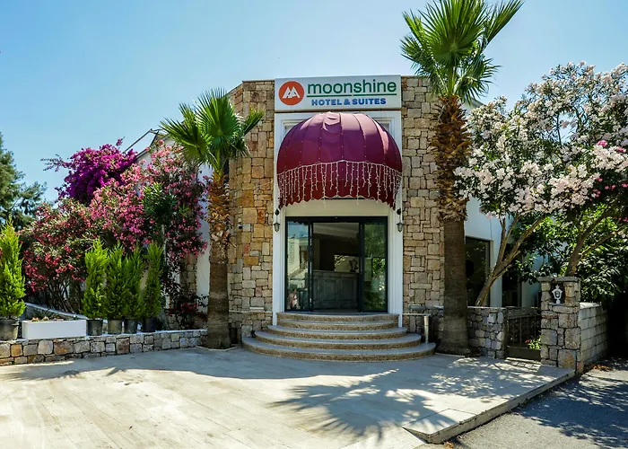 3-Sterne-Hotel: Moonshine Hotel & Suites
