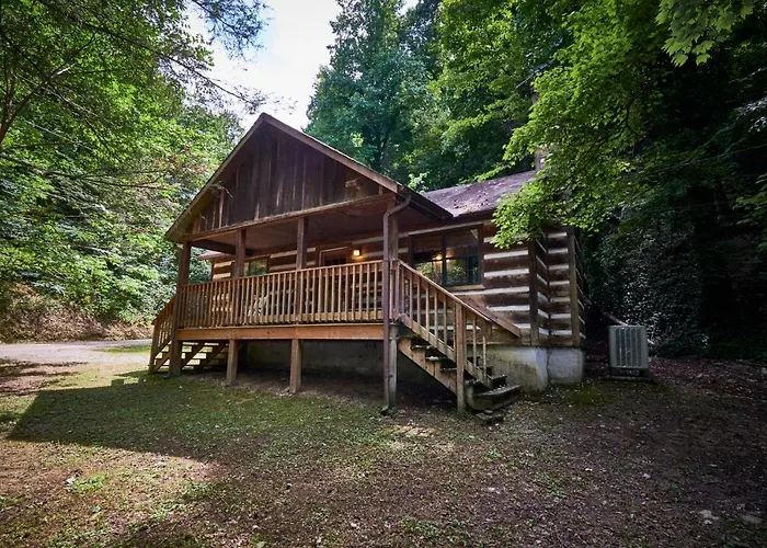 A Cabin In The Woods