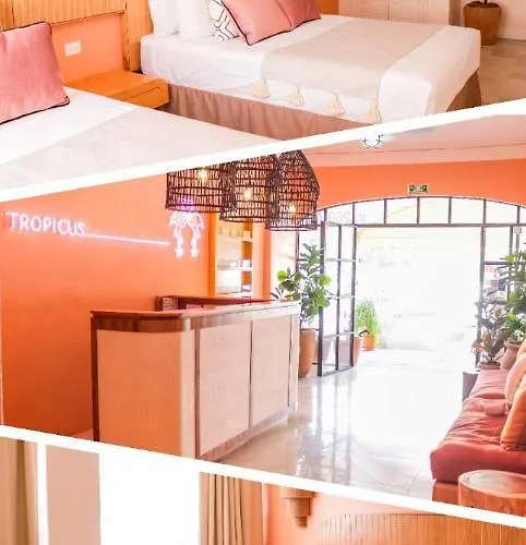 Cheap hotel: Hotel Tropicus Boutique