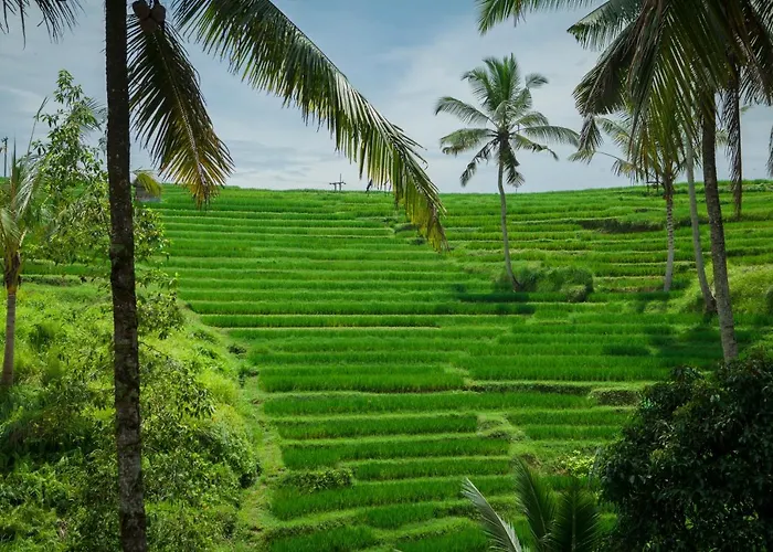 Be Bali Stay