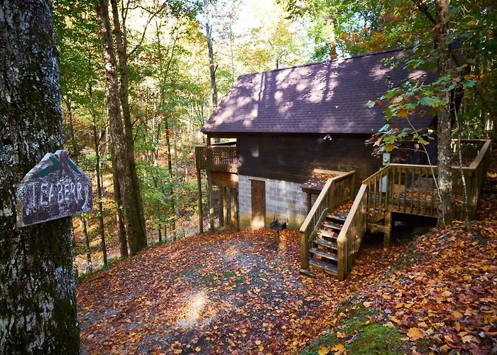 A Cabin In The Woods
