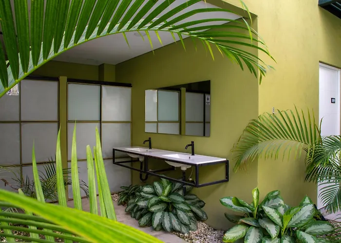 Oasis Tropical Hotel