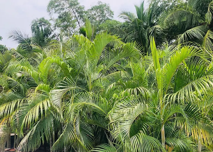 River Garden Hotel Anuradhapura