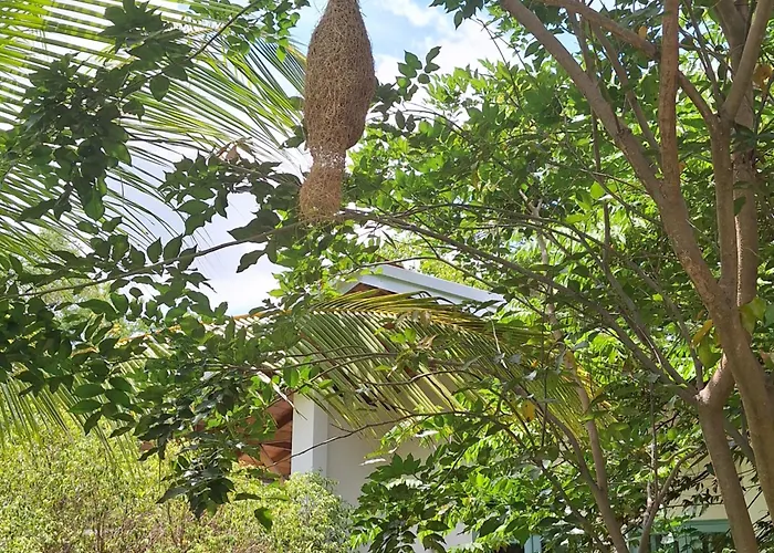 Kandalama Lodge