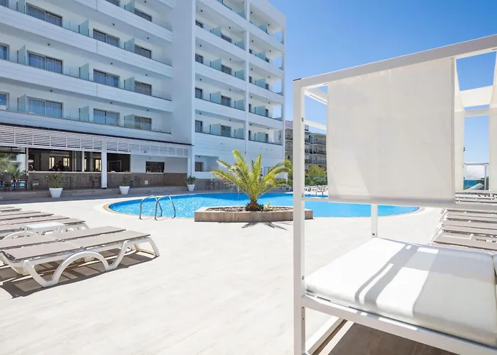 Hôtel accueillant les animaux: Hotel Best Punta Dorada