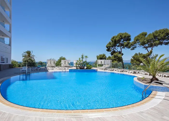 Hôtel accueillant les animaux: Hotel Best Punta Dorada