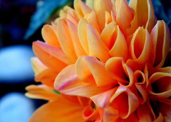 Hotel con piscina: Hotel Yria