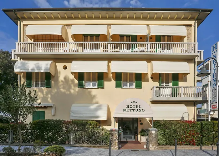 Hotel sulla spiaggia: Hotel Nettuno