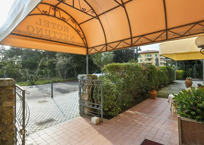 Hotel sulla spiaggia: Hotel Nettuno