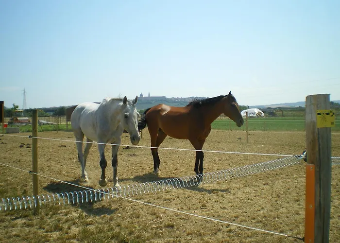 Conero Ranch