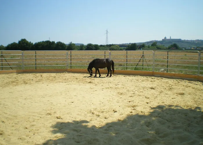 Conero Ranch